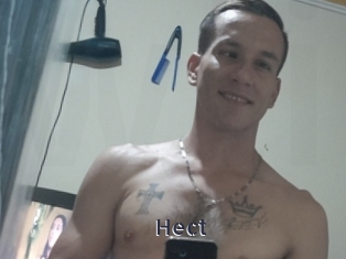 Hect