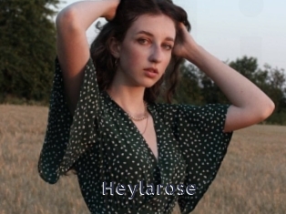 Heylarose