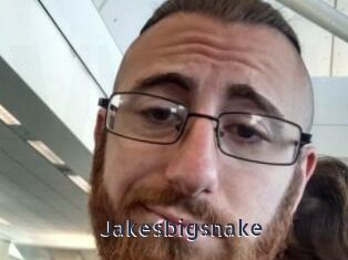 Jakesbigsnake