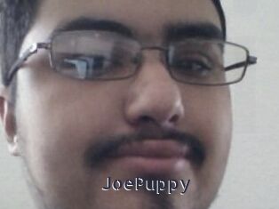 JoePuppy