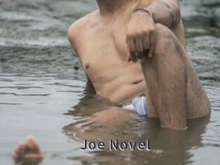 Joe_Novel