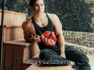 JoeyGoldberg