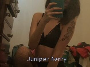 Juniper_Berry