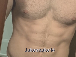 Jakesnake14