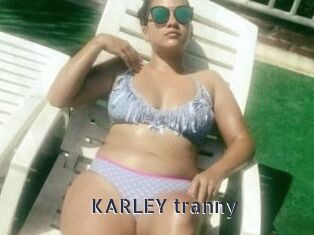 KARLEY_tranny