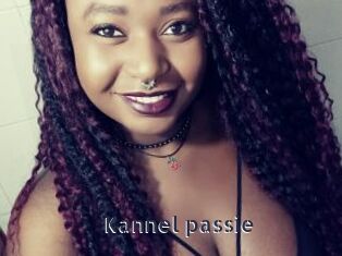 Kannel_passie