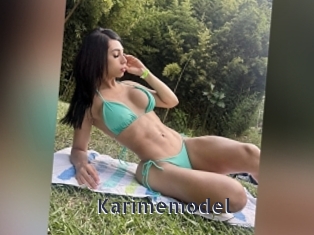 Karimemodel