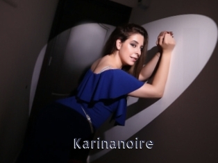 Karinanoire