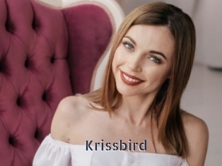 Krissbird