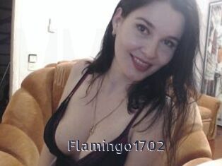 Flamingo1702