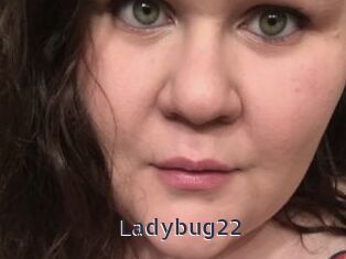 Ladybug22