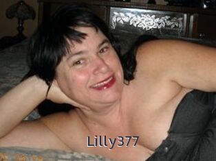 Lilly377