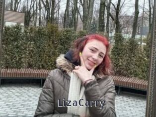 LizaCarry