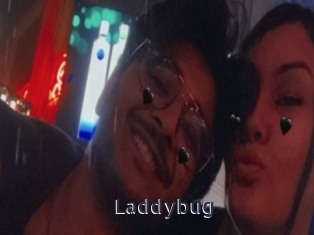 Laddybug