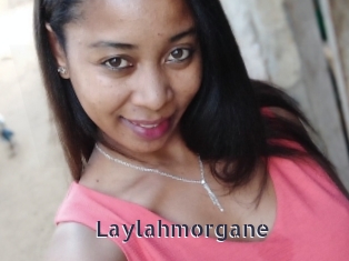 Laylahmorgane