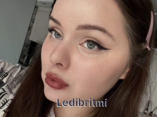 Ledibritmi