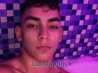 Liambiigdick