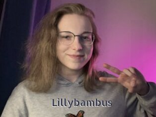 Lillybambus