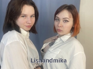 Lisaandmika