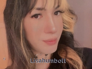 Lisahumbolt