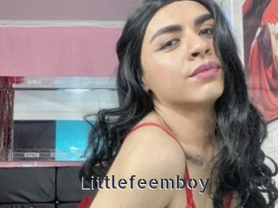 Littlefeemboy