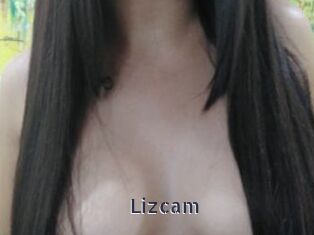 Lizcam