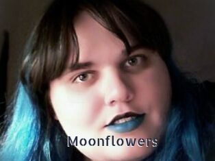 Moonflowers