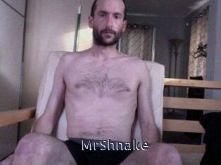 MrShnake