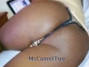 MsCamelToe