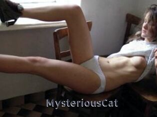 MysteriousCat