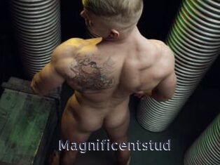 Magnificentstud