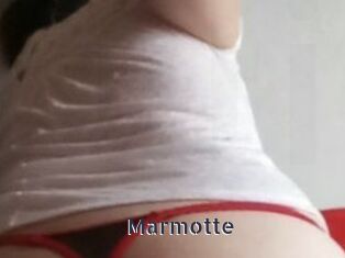Marmotte