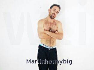 Martinhornybig