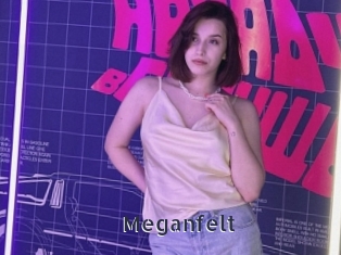 Meganfelt