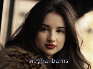 Meghanbarns