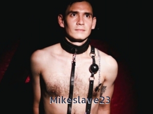 Mikeslave23