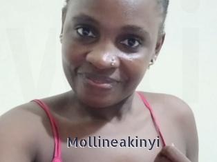 Mollineakinyi