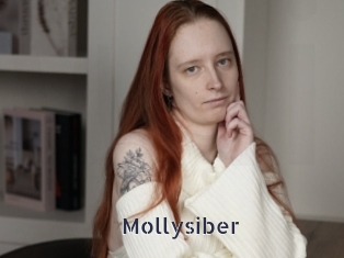 Mollysiber