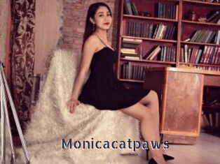 Monicacatpaws