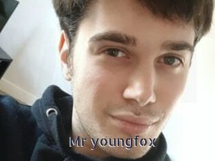 Mr_youngfox