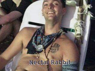 Nectar_Rabbit