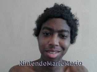 NintendoMarioMario