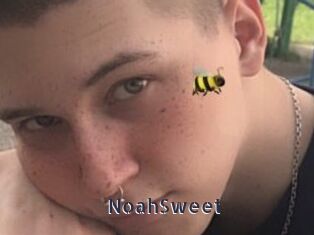 NoahSweet