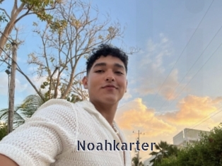 Noahkarter