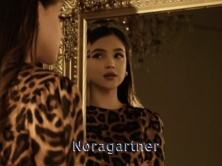 Noragartner