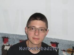 Norbertobadzso