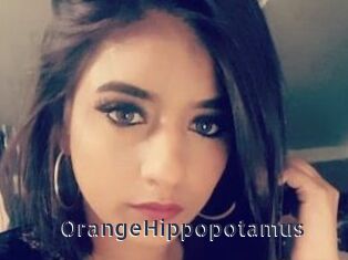 OrangeHippopotamus