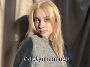 Odelynhammett