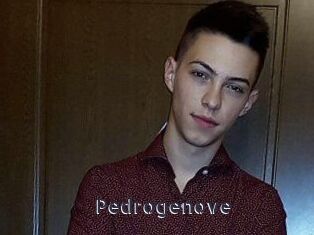 Pedrogenove