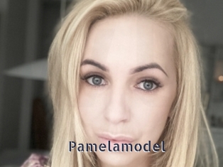 Pamelamodel